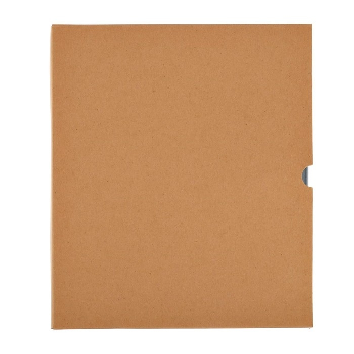 Дневник универсальный для 1-11 классов Favorite, интегральная обложка из искусственной кожи на кнопке, тиснение фольгой, ляссе, 48 листов