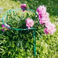 Кустодержатель, d=50 см, h=60 см, ножка d=1 см, металл, набор 2 полудуги, зелёный
