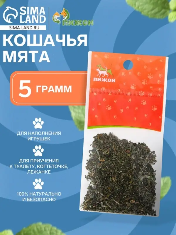 Кошачья мята &laquo;Пижон&raquo;, 5 г