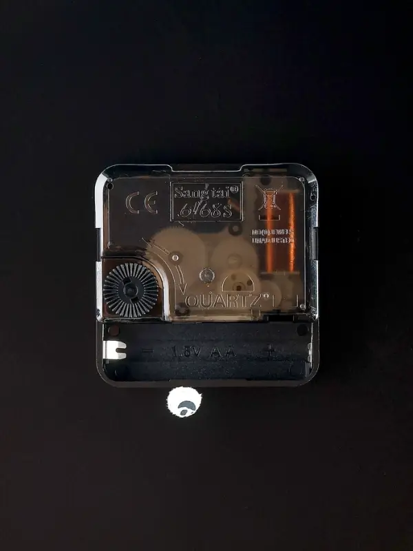 Часы настенные интерьерные &laquo;Птичка на ветке&raquo;, двусторонние, на подвесе, 50&times;32 см, циферблат d=21 см, от батареек 2&times;АА