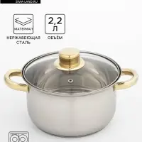 Кастрюля Доляна &laquo;Роскошь&raquo;, 2.2 л, d=19 см, со стеклянной крышкой, капсульное дно, нержавеющая сталь, хромированная