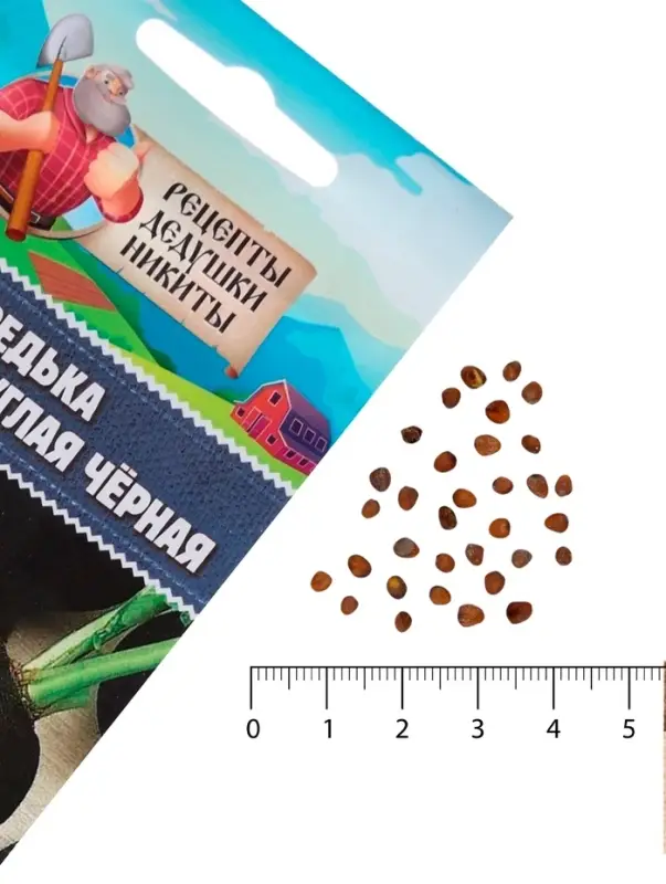 Семена Редька  Семена Редька "Зимняя круглая чёрная", среднеспелая, 1 г