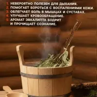 Веник для бани, эвкалиптовый, в пакете, &laquo;Добропаровъ&raquo;