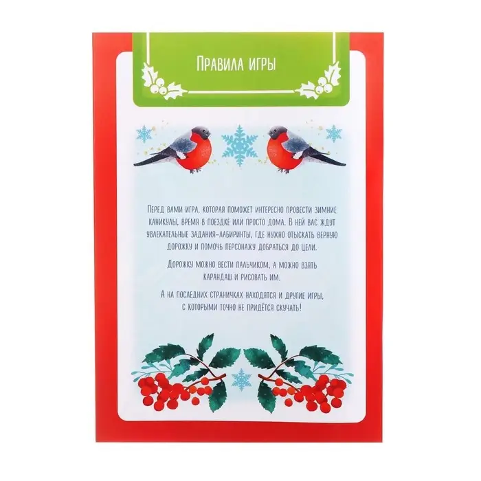 Новогодняя игра-книга «Чем занять ребёнка? Лабиринты», А5, 26 страниц, 4+