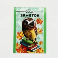 Блокнот &laquo;Для заметок&raquo;, А7, 16 листов