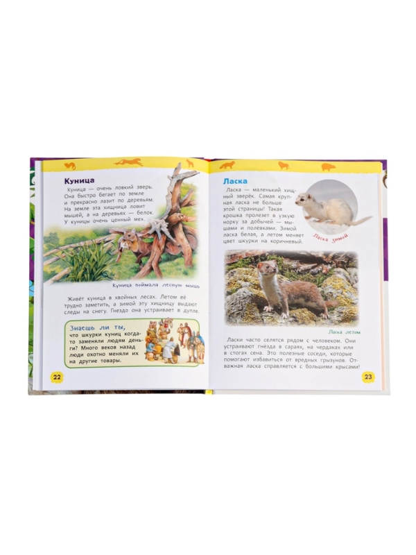 Детская энциклопедия Детская энциклопедия "Дикие животные"