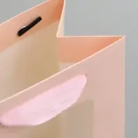 Пакет подарочный, с окном, 20&times;15&times;10 см, розовый