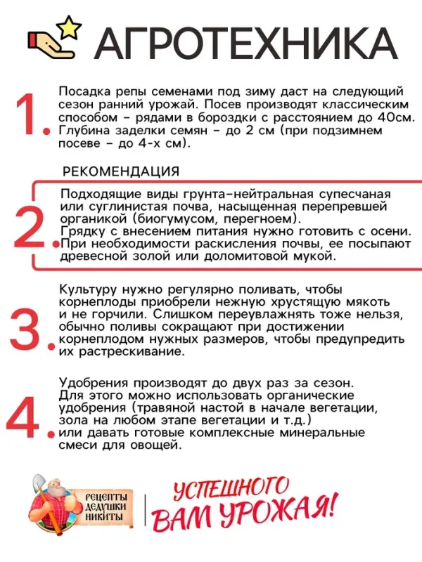 Семена Репа  Семена Репа "Петровская 1", 1 г