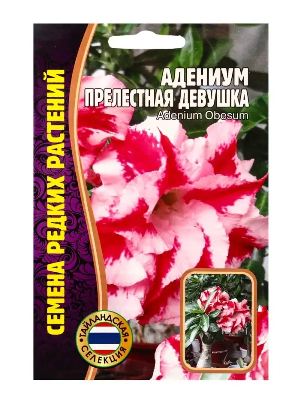Семена цветов Адениум Прелестная Девушка  3 шт. 12.29 г.