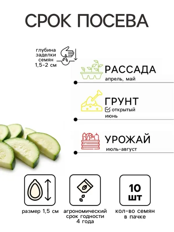 Семена Кабачок цуккини &laquo;Черный красавец&raquo;, &laquo;Аэлита&raquo;