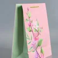 Пакет подарочный "Нежный комплимент" ламинированный 26 х 12 х 32 см