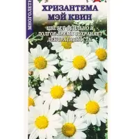 Семена Хризантема Мэй Квин /Сотка/ 0,3г/*1500 Семена Хризантема Мэй Квин /Сотка/ 0,3г/*1500