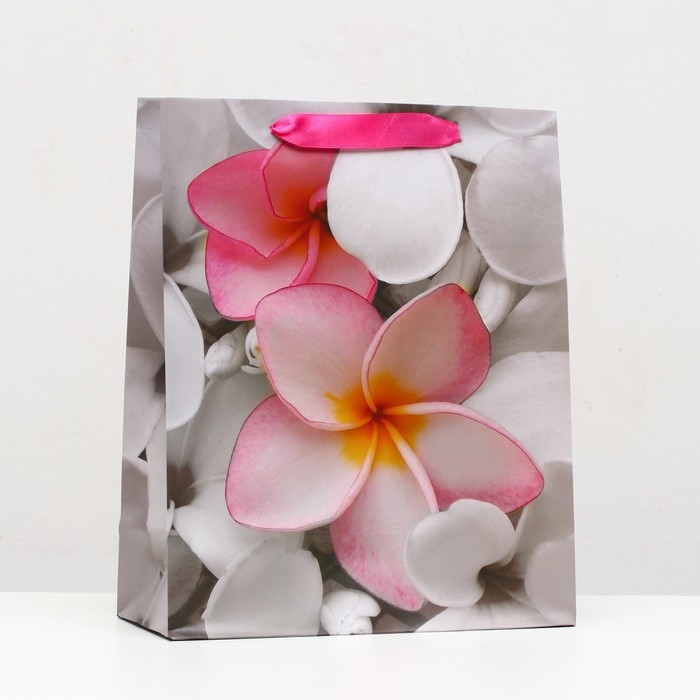 Пакет ламинированный, 26 x 32 x 12 см