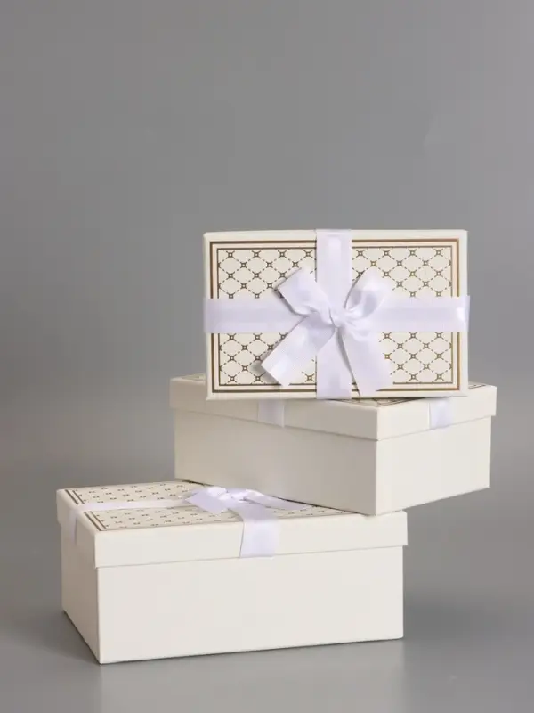 Наборок коробок 3 в 1 прямоугольные 23*16*9.5 21*14*8.0 19*12*6.5 см