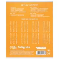 Тетрадь 18 листов в клетку Calligrata KIDS, блок офсет, 5 В МИКС