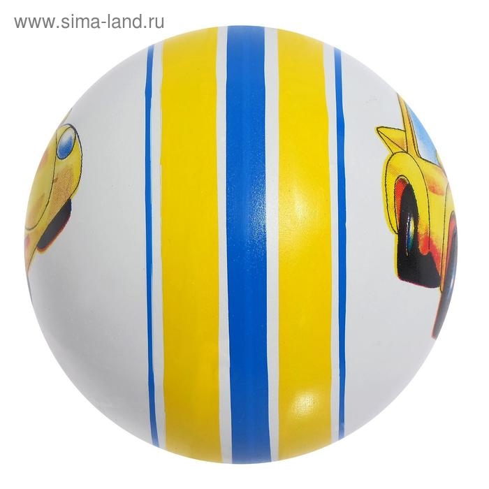 Мяч резиновый, диаметр 100 мм, (рисунок), цвета МИКС Мяч резиновый, диаметр 100 мм, (рисунок), цвета МИКС