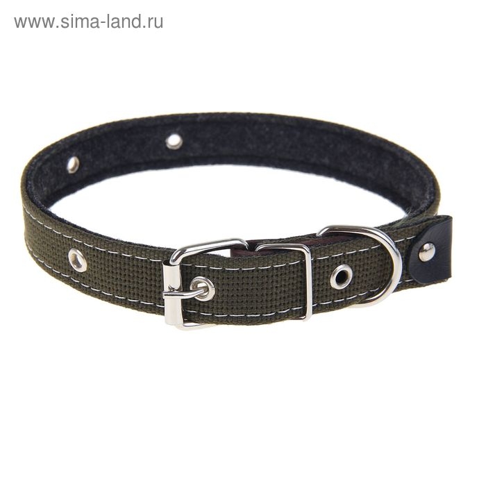 Ошейник брезентовый на фетре, 62 х 2,5 см, ОШ 30-55 см, тёмно-зелёный Ошейник брезентовый на фетре, 62 х 2,5 см, ОШ 30-55 см, тёмно-зелёный