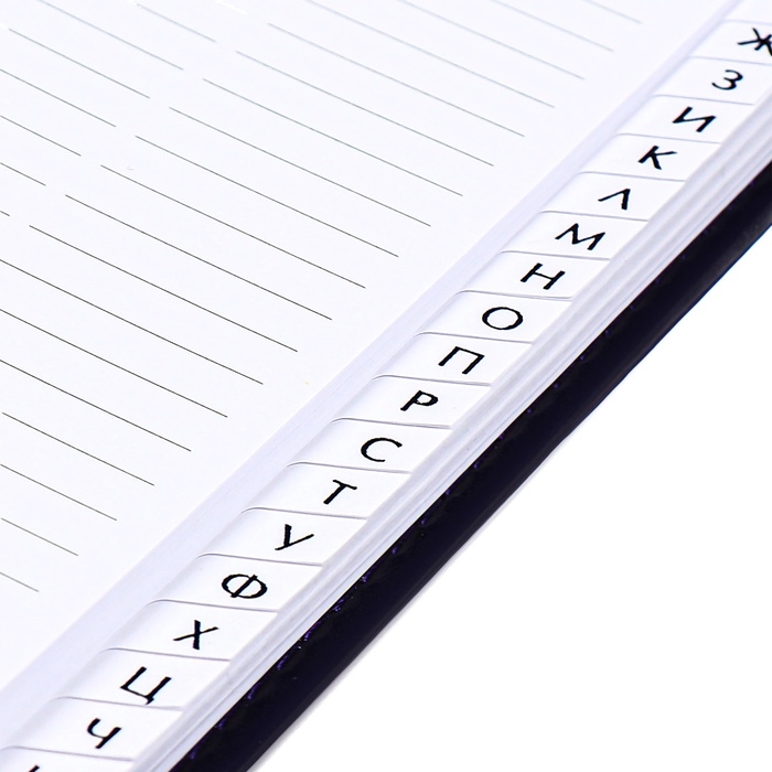 Телефонная книга А5, 64 листа deVENTE. Bravo, твердая обложка из искусственной кожи с поролоном, кремовый блок 70 г/м2, синий Телефонная книга А5, 64 листа deVENTE. Bravo, твердая обложка из искусственной кожи с поролоном, кремовый блок 70 г/м2, синий