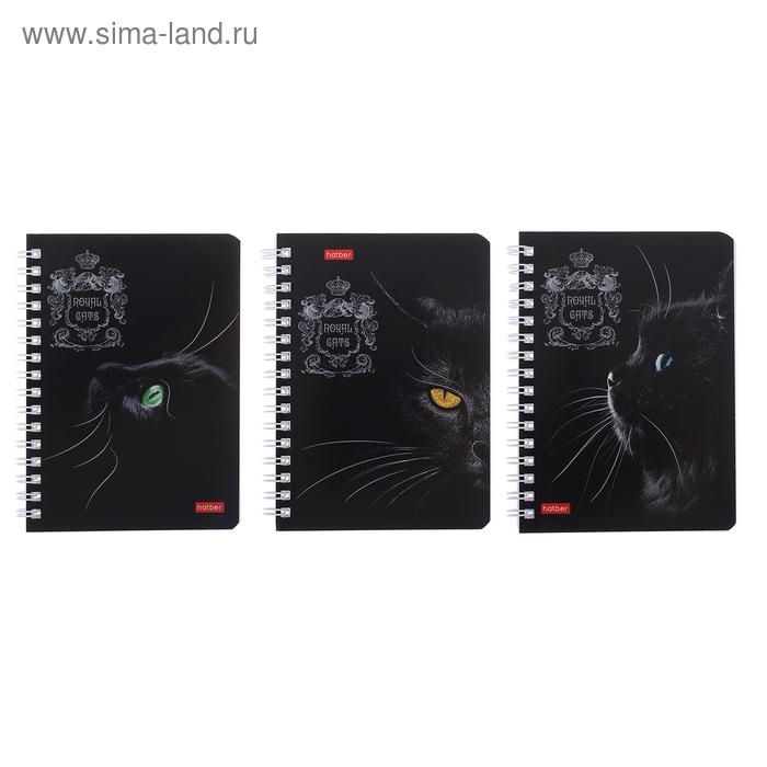 Записная книжка А6, 80 листов, в клетку, на гребне, Royal Cats, картонная обложка, блок офсет, МИКС Записная книжка А6, 80 листов, в клетку, на гребне, Royal Cats, картонная обложка, блок офсет, МИКС
