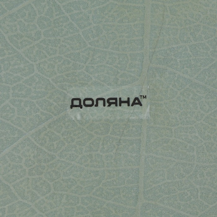 Блюдо сервировочное стеклянное Доляна «Лист», 31×19 см, цвет зелёный