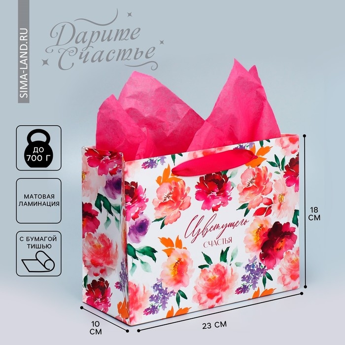 Пакет подарочный ламинированный с тишью, упаковка, «Счастье», MS 23 х 18 х 10 см