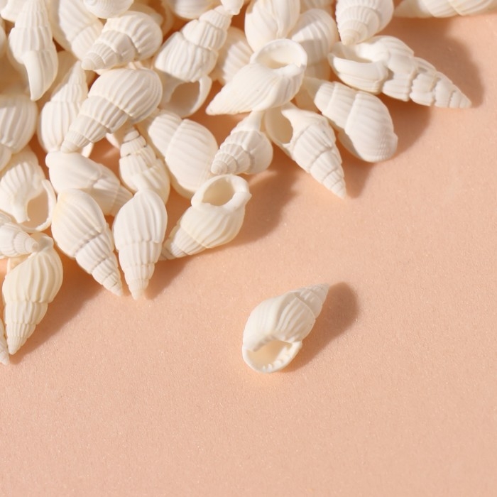 Ракушки природные декоративные "Риссоа белая" набор 100 гр