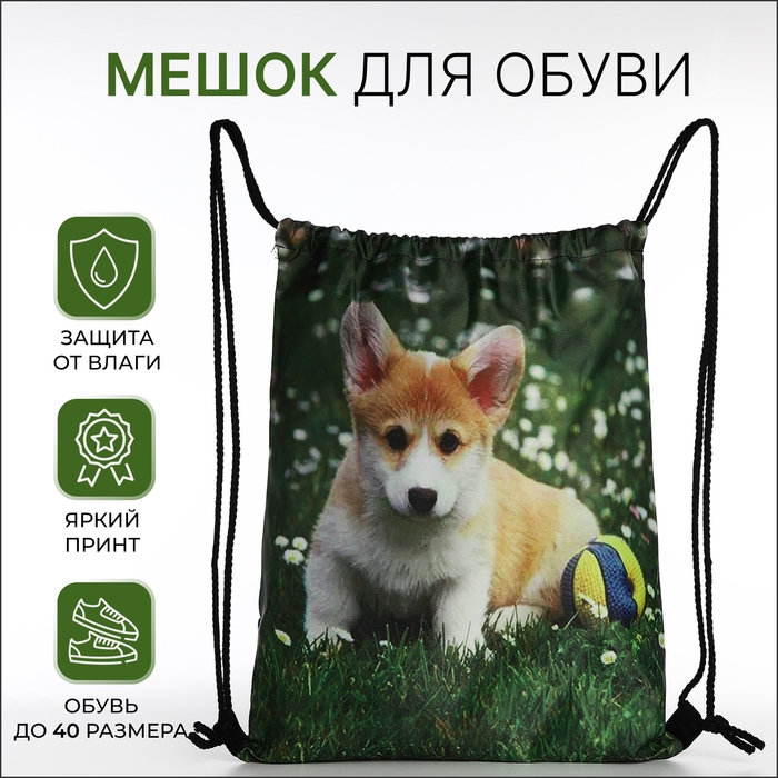 Мешок для обуви на шнурке, цвет зелёный Мешок для обуви на шнурке, цвет зелёный