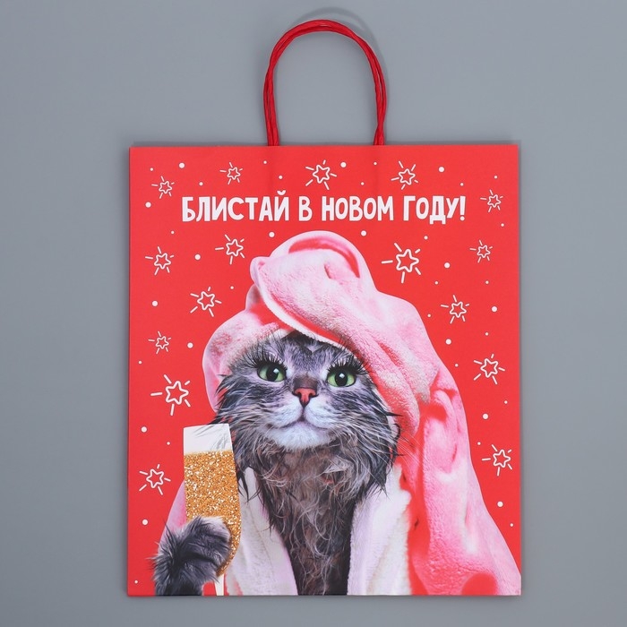 Пакет подарочный новогодний крафтовый «Блистай», 28 х 32 х 15 см, Новый год Пакет подарочный новогодний крафтовый «Блистай», 28 х 32 х 15 см, Новый год
