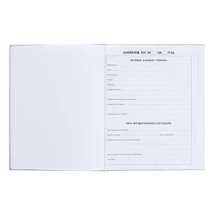 Дневник универсальный для 1-11 классов Дневник универсальный для 1-11 классов "Аниме. Парень и небо", твёрдая обложка, глянцевая ламинация, 40 листов