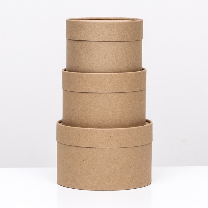 Набор шляпных коробок 3 в 1, крафт, 16 х 10,14 х 9,13 х 8,5 см