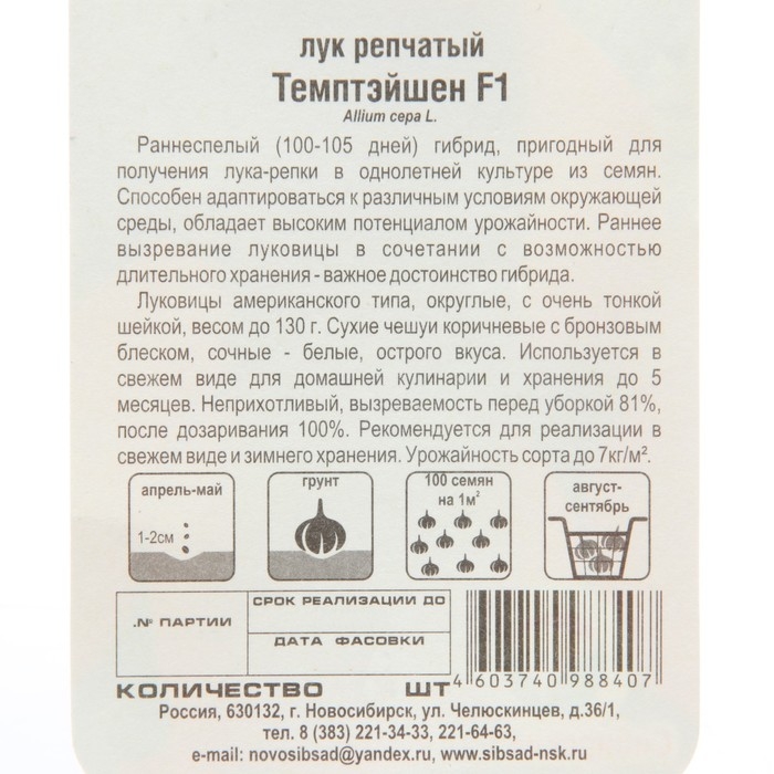 Семена Лук репчатый  Семена Лук репчатый "Темптэйшен", F1, 100шт.