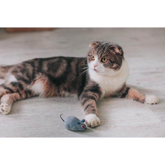 Мышь заводная, 7 см, серая Мышь заводная, 7 см, серая