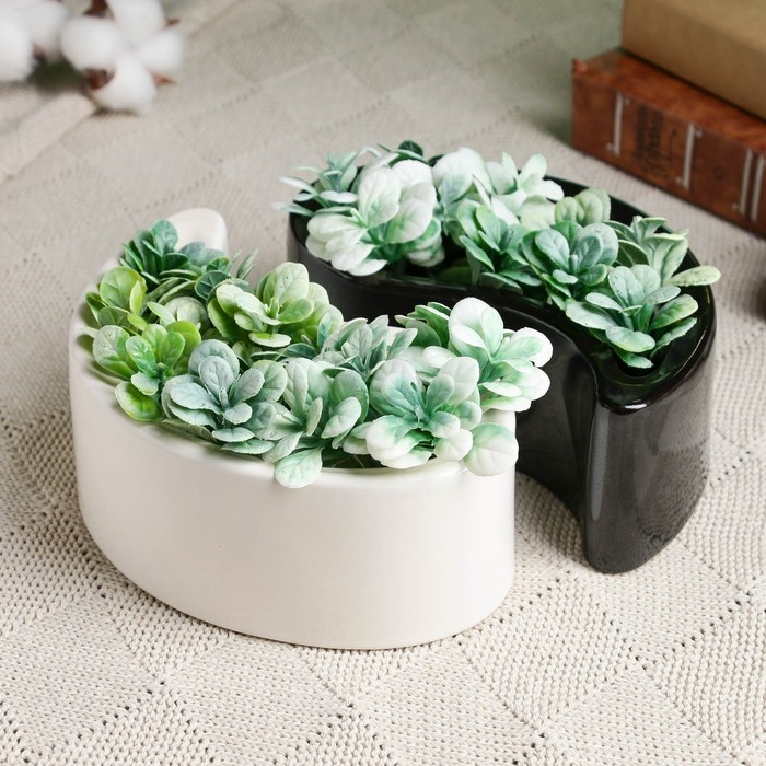 Кашпо Инь-Янь 0,45л 5,5см черно-белый Кашпо Инь-Янь 0,45л 5,5см черно-белый