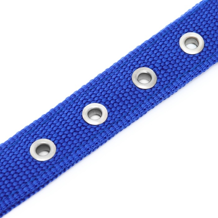 Ошейник Ошейник "Комфорт" комбинированный, 55 х 2,5 см, ОШ 40-50 см, синий