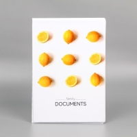 Папка для семейных документов «Docs», 8 файлов А4