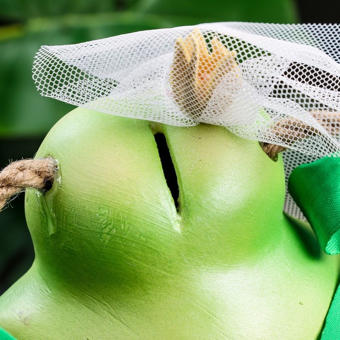 Копилка Копилка "Лягушка - Какая я красивая кому же я достанусь?!" зеленая, 19см