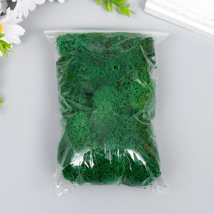 Мох стабилизированный Мох стабилизированный "Ярко-зелёный" 45 гр (+-5 гр)