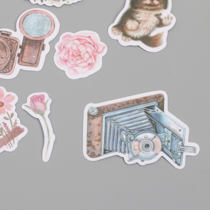 Наклейки для творчества Наклейки для творчества "Коты, розовые цветы и фото" 3,5х5 см набор 40 шт 9,4х8,4х0,5 см