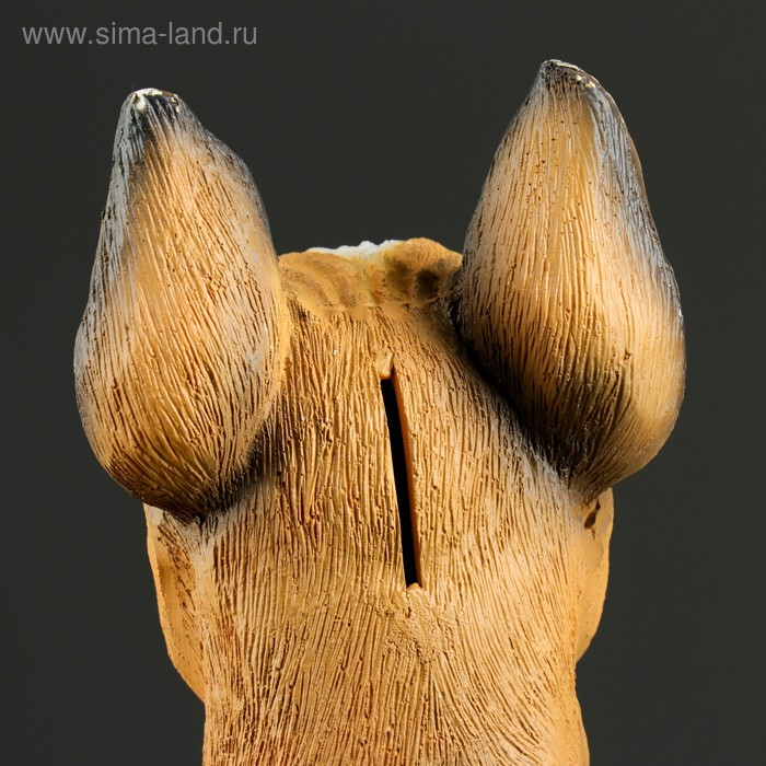 Копилка Копилка "Боксер", 36х24см