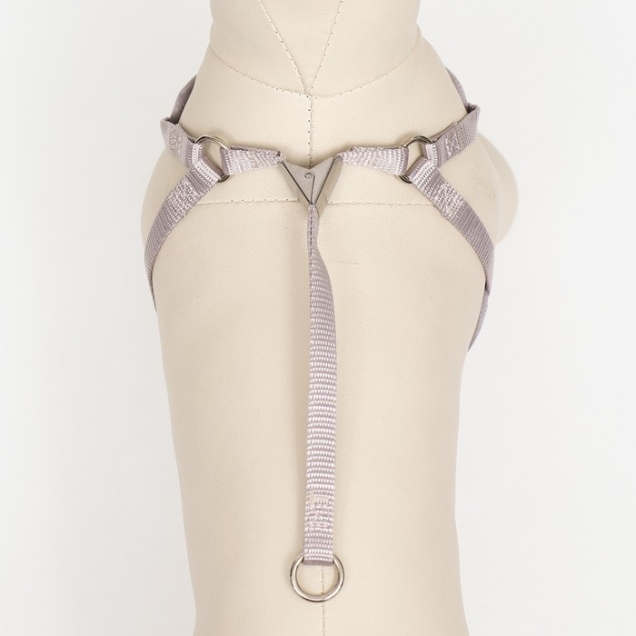 Комплект амуниции с мягкой шлейкой, поводок 120 х 1 см, ОГ 34-58 см, синяя клетка