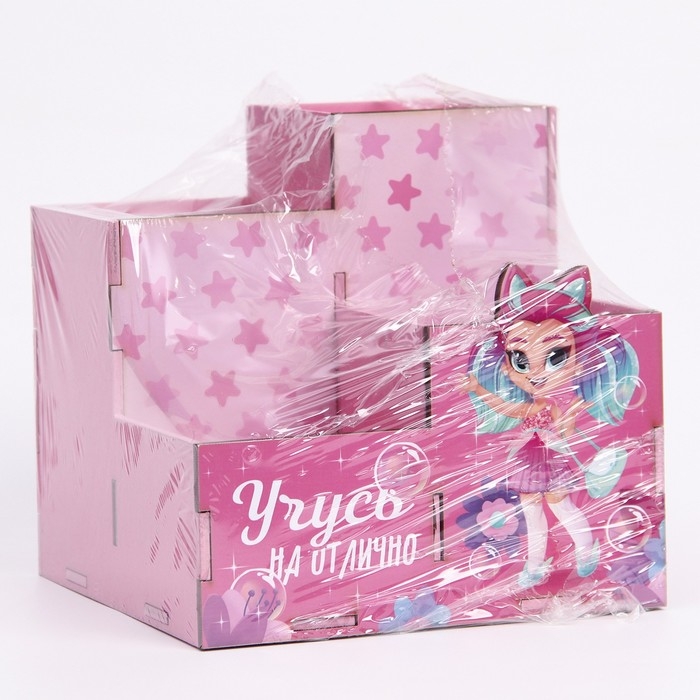 Органайзер для канцелярии «Учусь на отлично» Органайзер для канцелярии «Учусь на отлично»