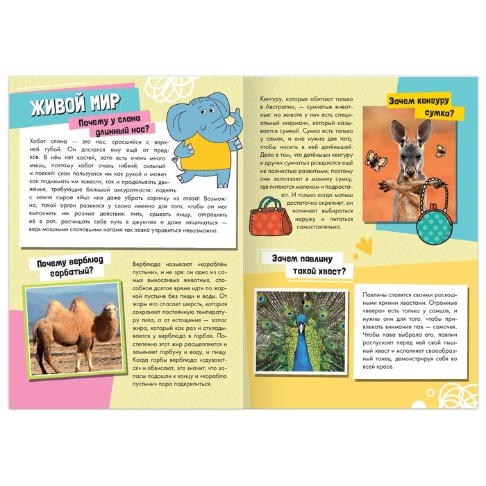 Набор обучающих книг «Как, зачем, почему?», 6 шт. Набор обучающих книг «Как, зачем, почему?», 6 шт.