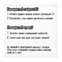 Набор для опытов «Живой сад: Мир динозавров», вырасти травку