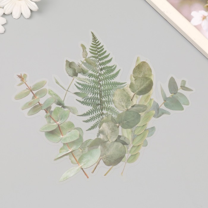 Наклейки пластик Наклейки пластик "Листья и цитаты. Зеленые" набор 12 шт 8,5х21,5х0,2 см