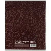 Набор тетрадей из 5 штук, 48 листов в клетку Calligrata &laquo;Линии&raquo;, блок офсет, 5 видов