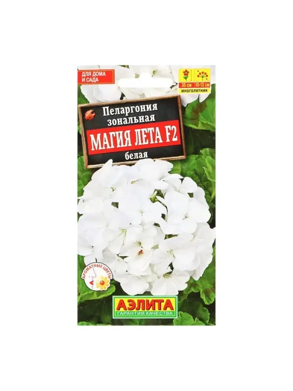 Семена цветов Пеларгония "Магия лета", белая, F2,5 шт.