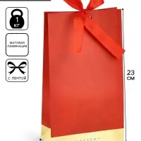 Пакет подарочный с лентой, упаковка, &laquo;Present&raquo;, 13&times;23&times;7 см