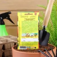 Набор семян Тыква крупноплодная "Сладкий пирог", 5 шт. Набор семян Тыква крупноплодная "Сладкий пирог", 5 шт.