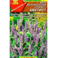 Семена Мята мексиканская Аметист, Ц/П,0,05 г