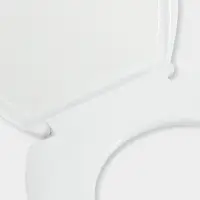 Сиденье для унитаза с крышкой &laquo;Декор. Сакура&raquo;, 44.5&times;37 см, белое